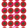 Marokkaanse vlag 24 cupcakes bij cake, bake & love 3