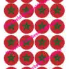 Eetbare cupcakeprint marokkaanse vlag - 24 cupcake rondjes bij cake, bake & love 1