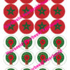Marokkaanse vlag + logo 24 cupcakes bij cake, bake & love 1