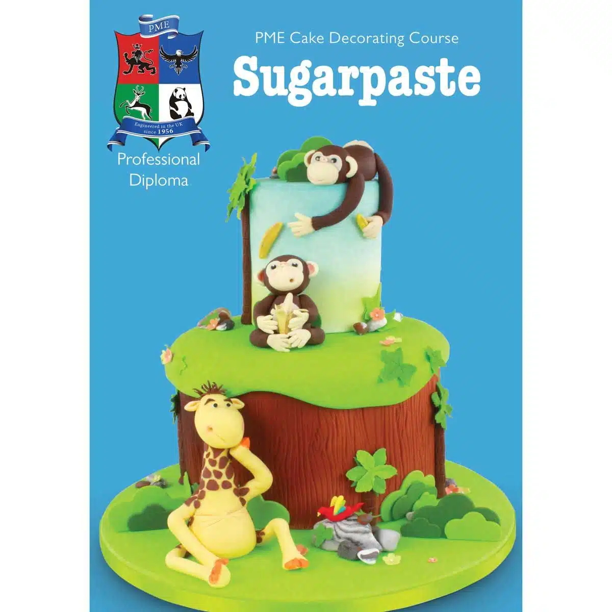 Pme course – sugar paste januari 2026 bij cake, bake & love 5 Pme course – sugar paste januari 2026
