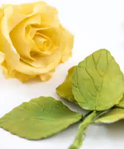 Alternative view of Koekjesuitsteker set Rose Leaves