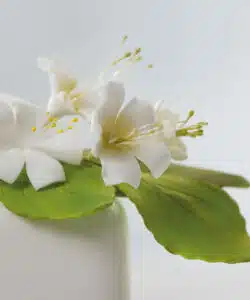 Koekjesuitsteker set rose leaves bij cake, bake & love 11