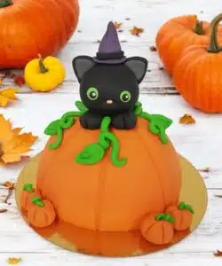 Ouder & Kind Les Boltaartje Halloween Kat- zaterdag 25 oktober 14:00