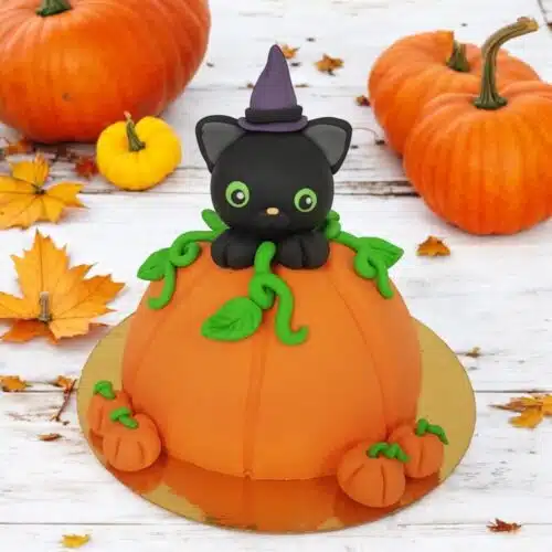 Ouder & kind les boltaartje halloween kat- zaterdag 25 oktober 14:00