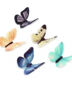 Alternative view of SugarSoft® Butterflies