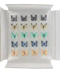 Sugarsoft® butterflies bij cake, bake & love 12 Sugarsoft® butterflies bij cake, bake & love 11