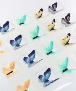Sugarsoft® butterflies bij cake, bake & love 14 Sugarsoft® butterflies bij cake, bake & love 13