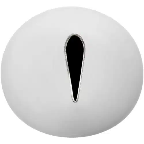 Wilton decorating tip #102 petal carded - afbeelding 3