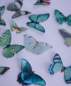 Crystal candy edible butterflies - emerald haze bij cake, bake & love 17