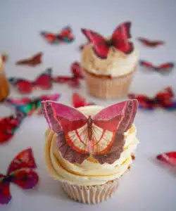 Crystal candy edible butterflies - red haze bij cake, bake & love 10