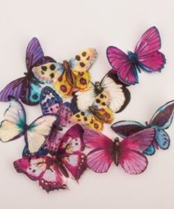 Crystal candy edible butterflies - purple haze bij cake, bake & love 13