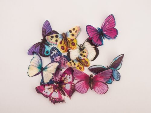 Crystal candy edible butterflies - purple haze bij cake, bake & love 9