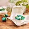 Funcakes bento cake box white 15x15 cm pk/10 bij cake, bake & love 1