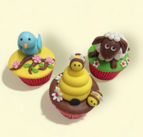 Ouder & kind les voorjaar cupcakes - zaterdag 17 februari 10:00 bij cake, bake & love 5