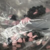 Pakketproduct: zakje met zwarte parels - roze hartjes - dropveter bij cake, bake & love 1