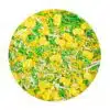 Sprinkley sprinkles paaskuikentjes mix 80 gram bij cake, bake & love 3