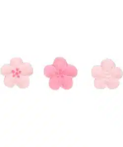 Alternative view of FunCakes Suikerdecoratie Bloemenmix Roze Set/24