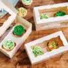 Funcakes cupcake doos 2 - wit pk/25 bij cake, bake & love 3