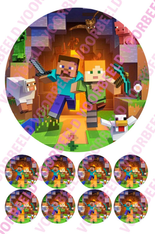 Eetbare taartprint minecraft 2 - 18 cm rond rond + 8 cupcake rondjes bij cake, bake & love 5