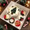 Workshop bento taart & cupcakes kerst - donderdag 18 december 19:00 bij cake, bake & love 3