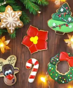 Workshop Koekjes Royal Icing Kerst - dinsdag 8 december 19:00