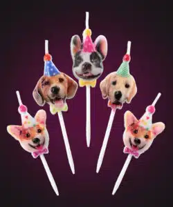 Alternative view of Decocino by Amira - Candles Party Dogs pk/5