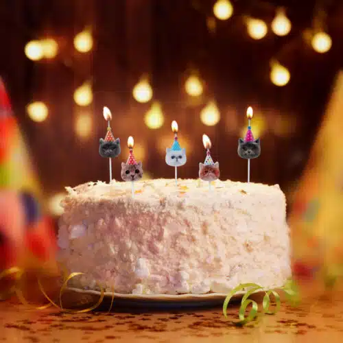 Decocino by amira - candles party cats pk/5 - afbeelding 3