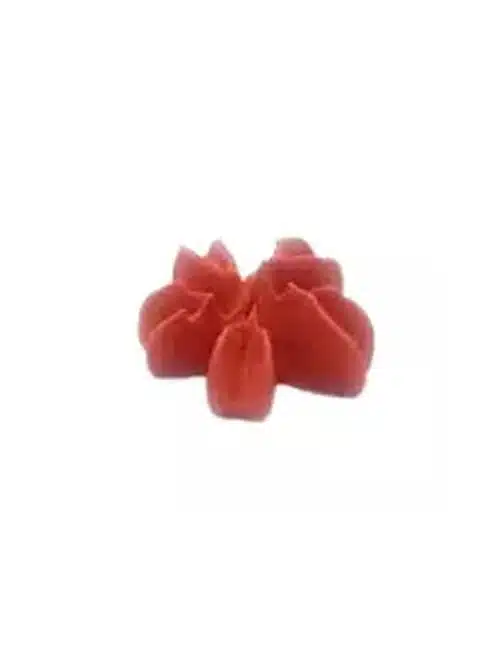 Brand new cake spuitmondje bloem #1f - afbeelding 3
