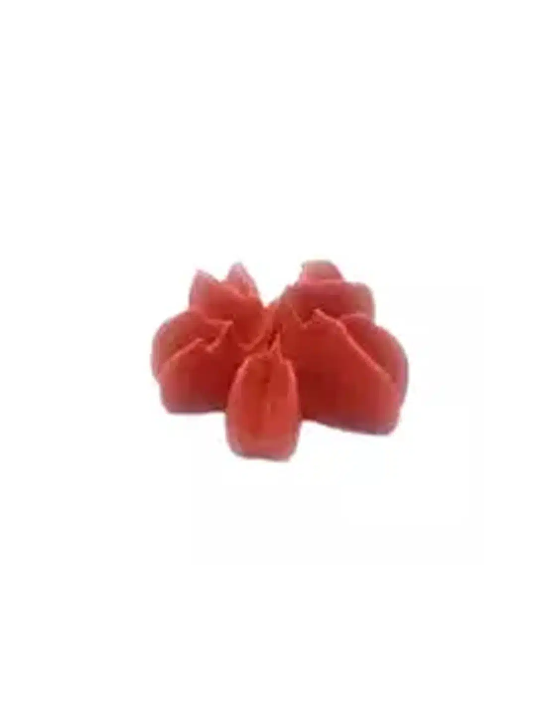 Brand new cake spuitmondje bloem #1f bij cake, bake & love 7 Brand new cake spuitmondje bloem #1f - afbeelding 3