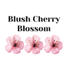 Crystal candy edible flowers kit - cherry blossom blush bij cake, bake & love 3