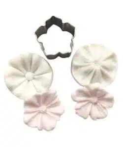 Petunia veiner + uitsteker