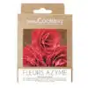Ouwel decoratie rode rozen 3 stuks bij cake, bake & love 3