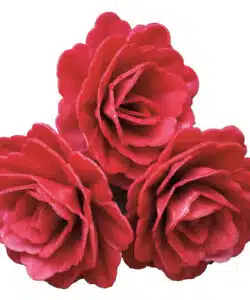 Ouwel decoratie rode rozen 3 stuks bij cake, bake & love 10