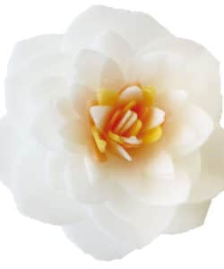 Alternative view of ScrapCooking Ouwel Bloemen Witte Camelias pk/4