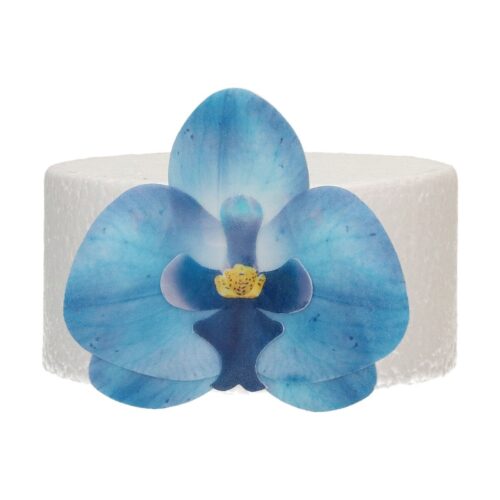 Funcakes eetbare papieren bloemen deluxe orchidee blauw medium pk/10 - afbeelding 2