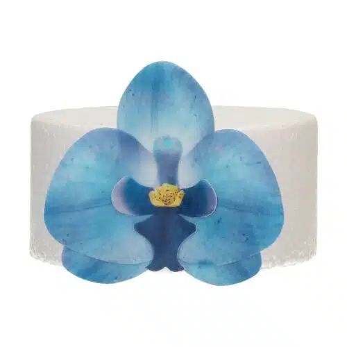 Funcakes eetbare papieren bloemen deluxe orchidee blauw medium pk/10 - afbeelding 2