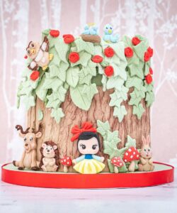 Karen davies siliconen mal - prinses bij cake, bake & love 11