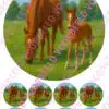 Eetbare taartprint paard met veulen - 18 cm rond rond + 8 cupcake rondjes bij cake, bake & love 3