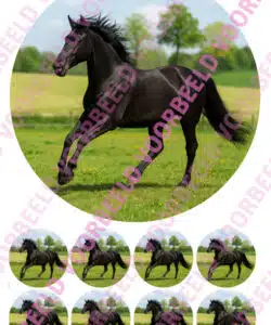 Eetbare Taartprint Zwart Paard - 18 cm rond rond + 8 cupcake rondjes