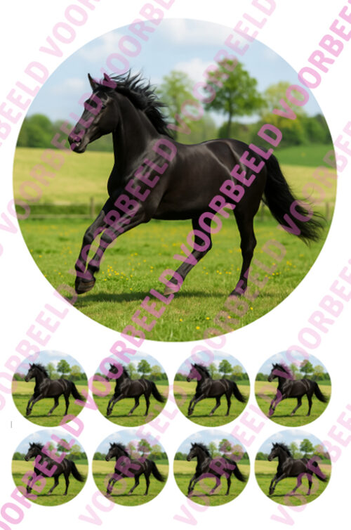 Eetbare taartprint zwart paard - 18 cm rond rond + 8 cupcake rondjes