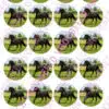 Eetbare cupcakeprint zwart paard - 24 cupcake rondjes bij cake, bake & love 2 Eetbare cupcakeprint zwart paard - 24 cupcake rondjes bij cake, bake & love 1