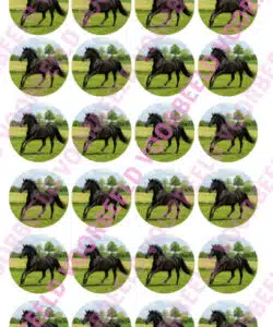Eetbare Cupcakeprint Zwart Paard - 24 cupcake rondjes