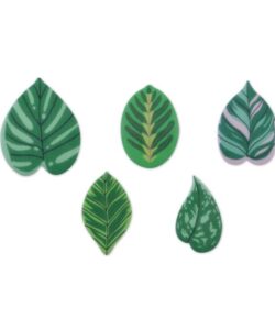 Ouwel Leafs