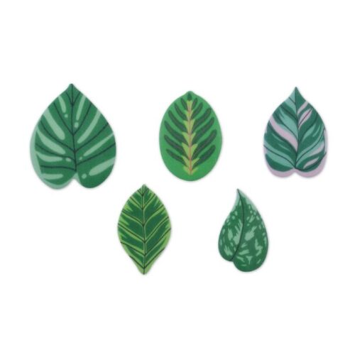 Ouwel leafs
