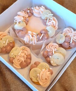 Workshop Bento Taart & Cupcakes - donderdag 15 januari 19:00