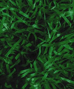 Simply Making Versnipperd Papier voor Cadeaudoos Donkergroen 30 g