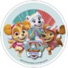 Modecor paw patrol skye eetbare taartprint 21 cm bij cake, bake & love 2 Modecor paw patrol skye eetbare taartprint 21 cm bij cake, bake & love 1