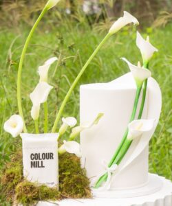 Alternative view of Colour Mill Fondant Decorators Dough Wit 4kg