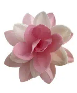 Premium Wafer Flower - Pink Camelia - 1 Stk