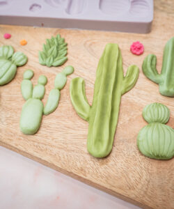 Alternative view of Karen Davies Siliconen Mal – Cactus Garden